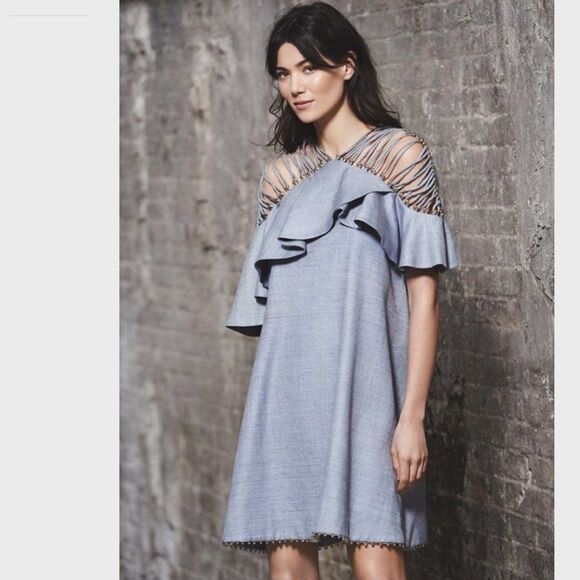 RARE. NWOT. Zimmermann Runway silk mini dress